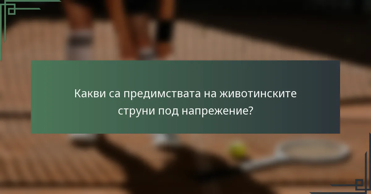 Какви са предимствата на животинските струни под напрежение?