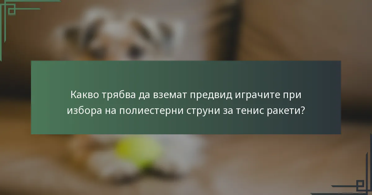 Какво трябва да вземат предвид играчите при избора на полиестерни струни за тенис ракети?